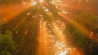 With warmth - Gold in June 💛 (decor life background music)
