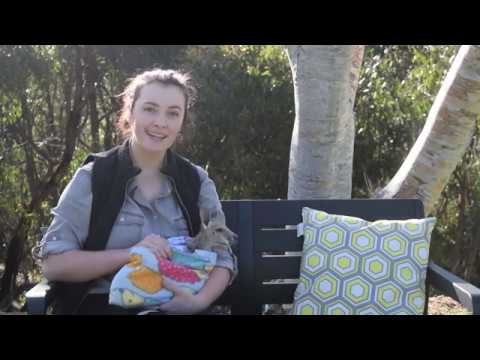 Joey Red Kangaroo | Animals Anonymous - YouTube