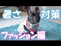 夏の暑さ対策ファッション編～保冷剤を入れる犬服&バンダナ～