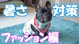 夏の暑さ対策ファッション編～保冷剤を入れる犬服&バンダナ～
