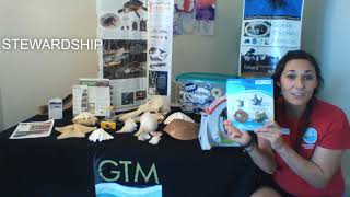 GTM Research Reserve Career Fair Video