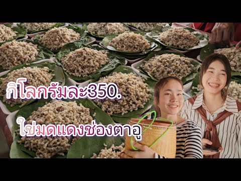 #เที่ยวลาวใต้ ตลาดนัดด่านผ่อนปรนไทย-ลาว#ช่องตาอู #แม่ค้า #สาวลาว น่ารักๆ #สาวลาวใต้ #สปปลาว#อุบลฯ