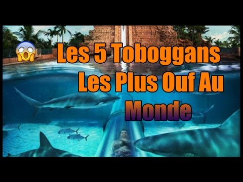 LES 5 TOBOGGANS