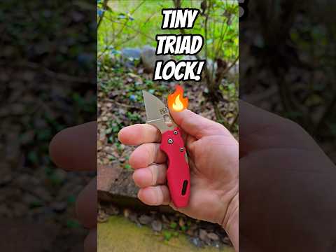 Strong Lock, Tiny Package! The Cold Steel Mini Tuff Lite    @csknives