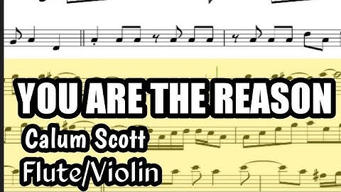 You Are The Reason Flute Violin (Concert G) Sheet Backing Play Along Partitura Calum Scott