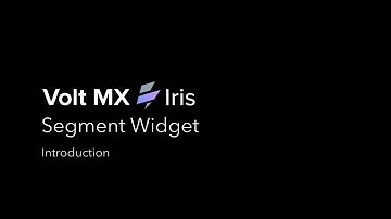 Segment Widget – Introduction