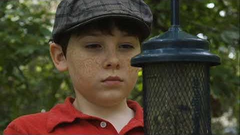 Module 3 Final Video