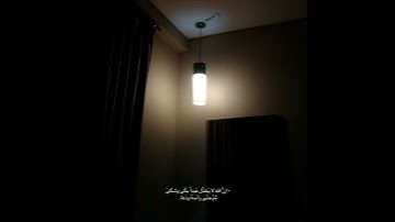 قران كريم بصوت عبدالرحمن مسعد 🌿🤍 حالات واتس اب دينية مقاطع استقرام