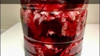 KIRMIZI PANCARLI LAHANA TURŞUSU