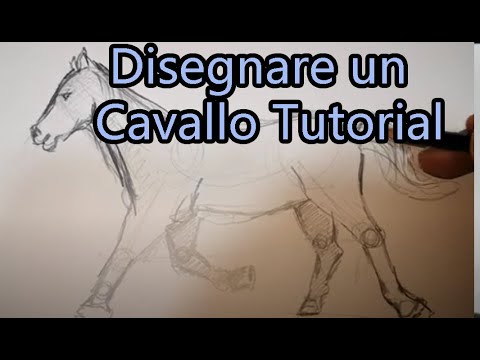 Video: Come Fare Un Cavallo