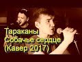 Тараканы - Собачье сердце feat. Антон Ходячев (Кавер 2017)