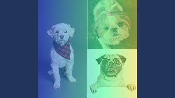 Pulsating Ambience for Shelter Pups