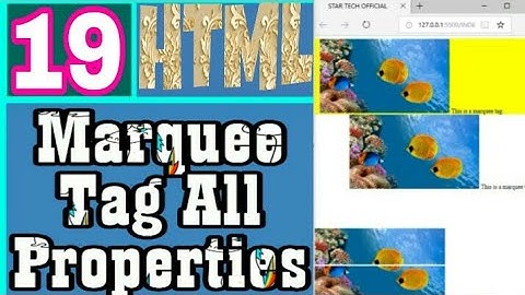 19: Marquee Tag Properties In Html | HTML TUTORIAL FOR BEGINNERS | STAR TECH OFFICIAL