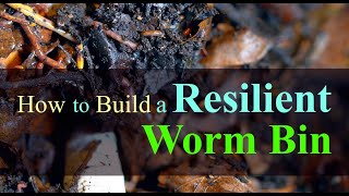 Worm Bin Temperature, Humidity, and Acidity (2023)