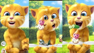 Ginger Tries To Pull It Away