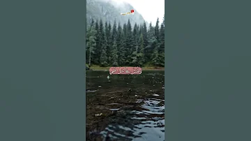 و م ا ت ل ك ب ي م ين ك ي ا م وس ى شعبان الصياد 