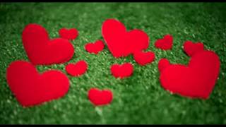 CANZONE D'AMORE  KIKKI DANIELSSON