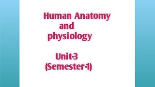 Hand written notes// human anatomy and physiology // unit-3 semester -1 screenshot 3