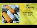 Snake  jill bioskop lyrics