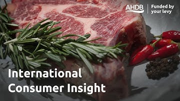 International Consumer Insight