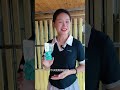 這個一百公里飛的太難了，好在有驚無險，都回來了 #鴿舍 #賽鴿