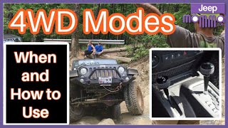 When to Use 4WD — And the Risks of Shifting Gears on the Trail