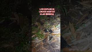 Penampakan Siluman Ular Weling シ