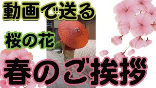 動画で送る３月のご挨拶・桜の花に和装の女性や和菓子のイラストとはらはら舞う桜の花びらのアニメーション動画のグリーティングカードです。フリー素材ではありません、URLをコピーしてご利用ください。