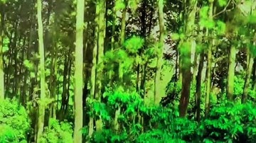 الحزب 20 من سورة التوبة(من الآية 45 إلى الآية 54 ) برواية الإمام ورش عن نافع @