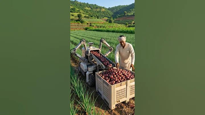 AI-Powered Robot Harvesting Onions