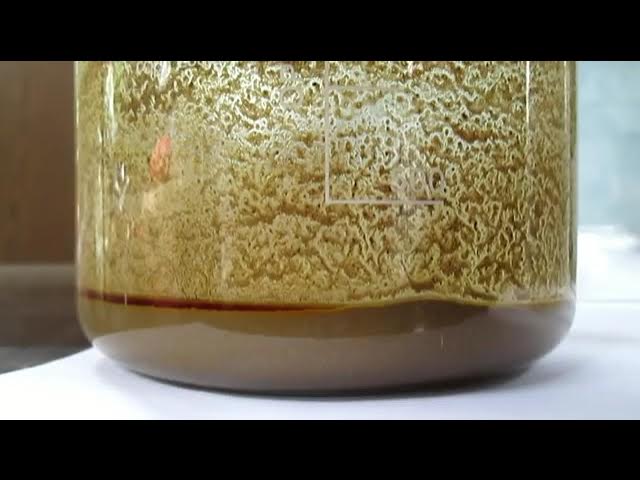 Qiz, oz erkakingni qoliga ol Eng chiroyli jinsiy aloqa shaxsiy video