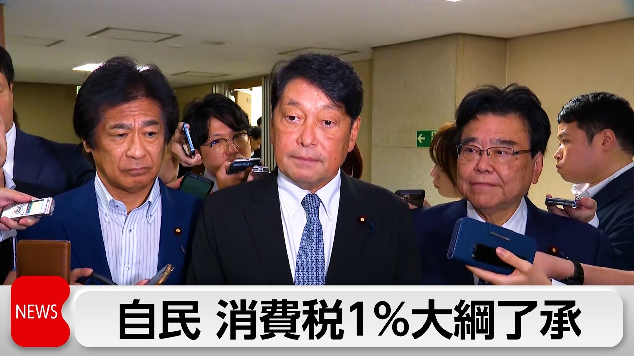 自民党　税制改正大綱案を了承　政府は15日にも閣議決定する方針 縮圖