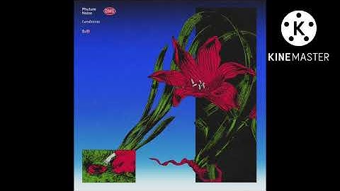 Phuture Noize - Landmines