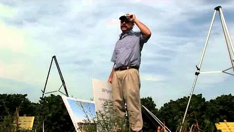 Glyphosate Weed Resistance in the South - Larry St...
