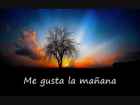 Manu Chao - Me Gustas T Lyrics AZLyricscom