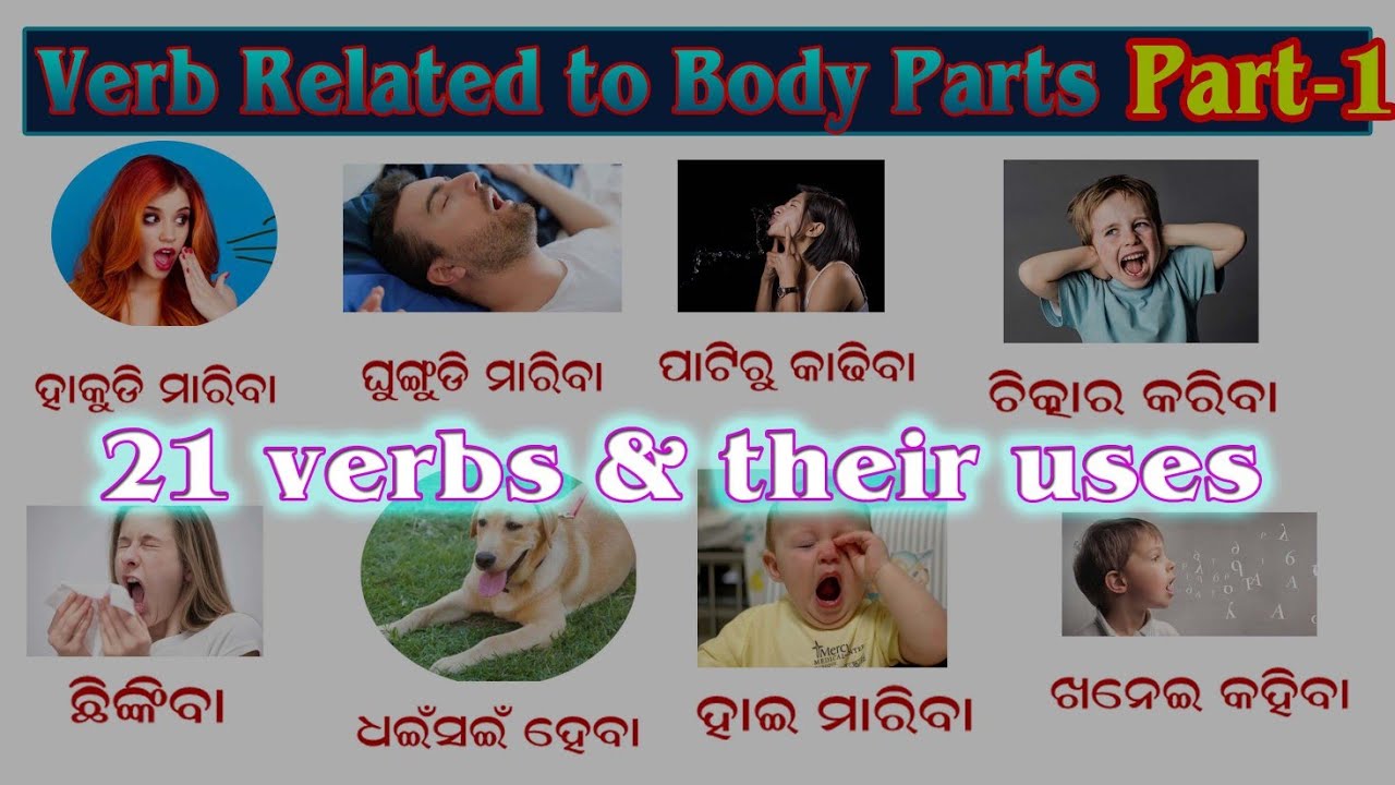 Verb related to mouth Verb in English grammar verbs Verb in