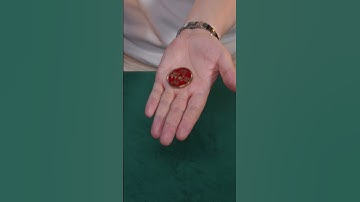 Wormhole Coin by N2G #magician #magic #magical #fyp #reels #coin #coinmagictrick #tricks #illusion