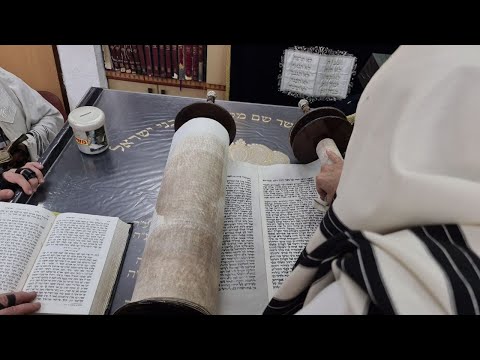 La Mujer y los Poderes del Alma Perfectos La Mujer y los Poderes del Alma Perfectos