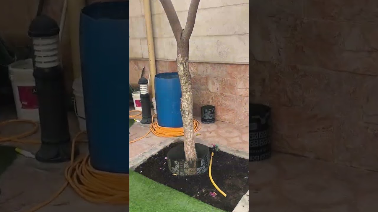 تحفيز اشجار  الفواكه على التزهير والإثمار