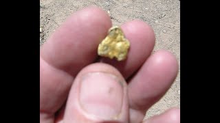 Celebrity SPEED PANNING FOR GOLD in just 60 seconds !!! Wealth