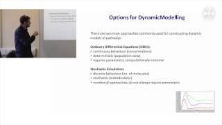 14. Analysis & Visualization of Rule-Based Stochastic Flow (Lecture)