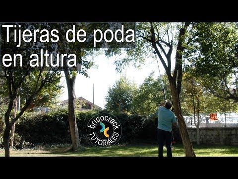 Video: Tijeras De Podar Para árboles Altos: ¿cómo Elegir Una Tijera De Jardín Telescópica Con Mangos Largos? Características De Los Grandes Modelos De Aire