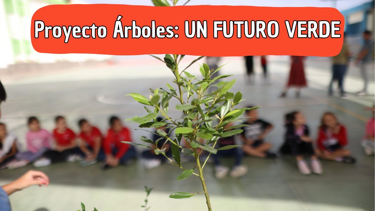🌳 Proyecto Árboles: Renaturalizando escuelas y luchando contra el cambio climático 🌍