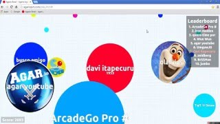 jogando agario server brasileiro // AGARIOPVT.COM