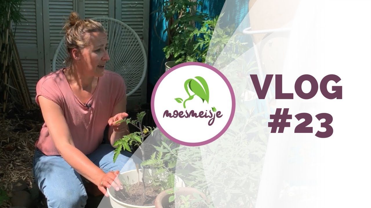 MOESTUIN VLOG #23 |Tomaten dieven, vruchtgewassen bijvoeden, de plantjesmarkt in Utrecht en meer!