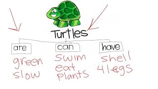 Tree map turtles1