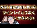ツインレイ夫婦『自己統合は何故必要なんだろ？？自己統合しなくても良いんじゃないかと思うけど・・・』