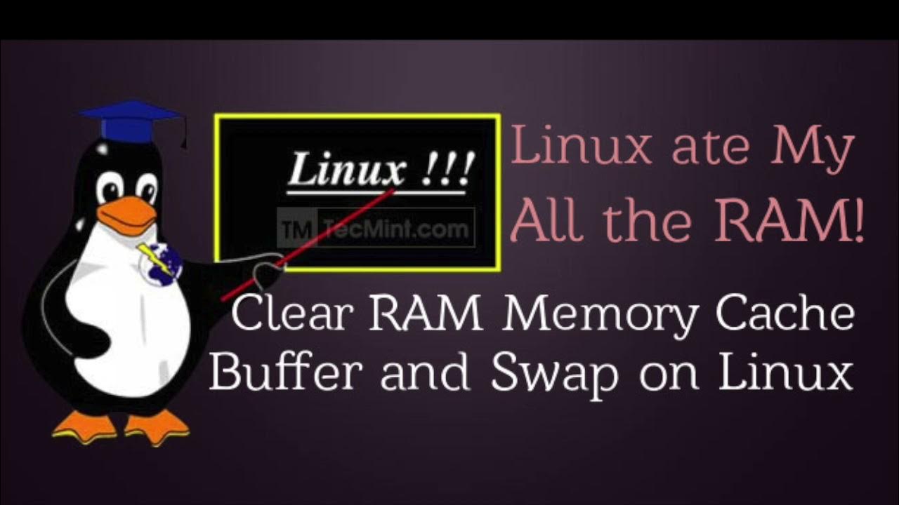 Кэш linux. Scp linux. пингвин хакер. плакаты linux команды. linux ram info.