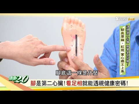 腳有6條經絡匯集！改善身體不適從腳下手！ 健康2.0