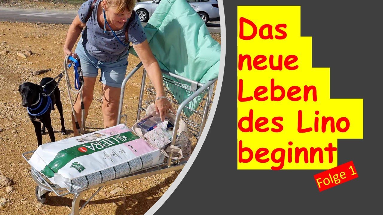 Kiffis Leben Im Wohnmobil